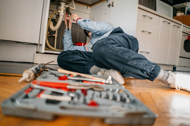 Best 24-Hour Plumber Near Me  in Wolfhurst, OH